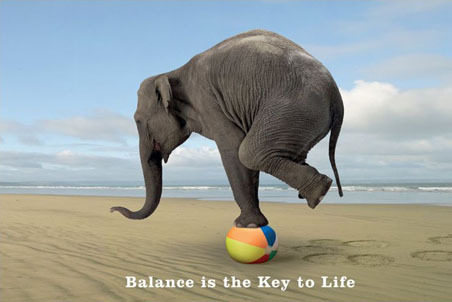 lgpp31157balance-is-the-key-to-life-balancing-elephant-poster_large-4784707